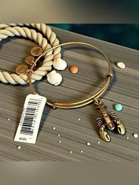 Alex and Ani | Jewelry | Alex And Anialex And Ani Lobster Charm Bangle ...